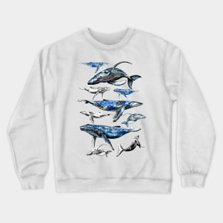 whales Crewneck Sweatshirt